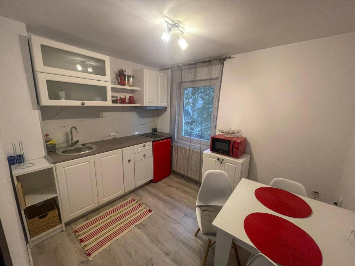 קלוז'-נאפוקה Buzz Apartment מראה חיצוני תמונה