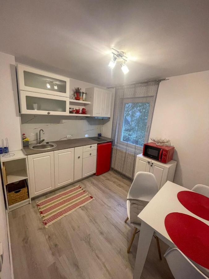 קלוז'-נאפוקה Buzz Apartment מראה חיצוני תמונה