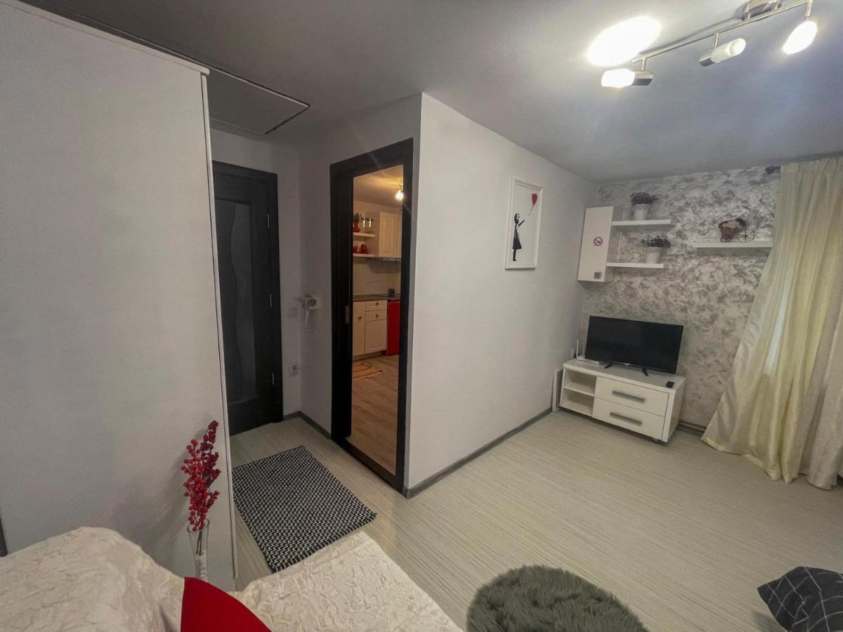 קלוז'-נאפוקה Buzz Apartment מראה חיצוני תמונה