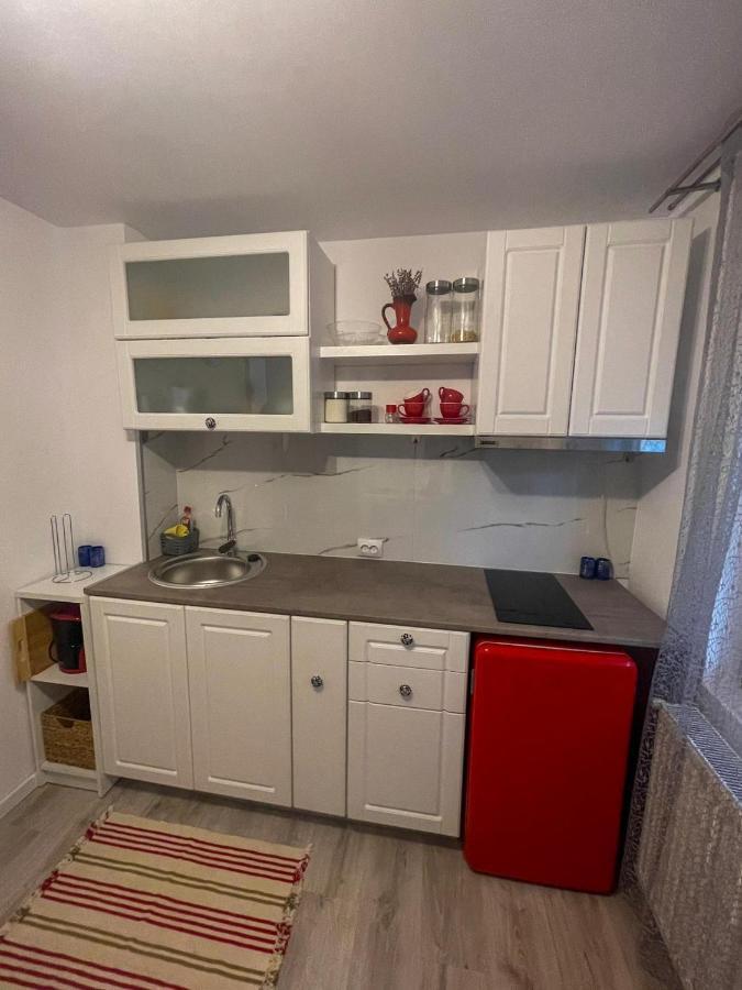 קלוז'-נאפוקה Buzz Apartment מראה חיצוני תמונה